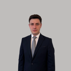 Data (biznes) analitika, nəzarət, risk, audit.